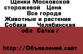 Щенки Московской сторожевой › Цена ­ 35 000 - Все города Животные и растения » Собаки   . Челябинская обл.,Сатка г.